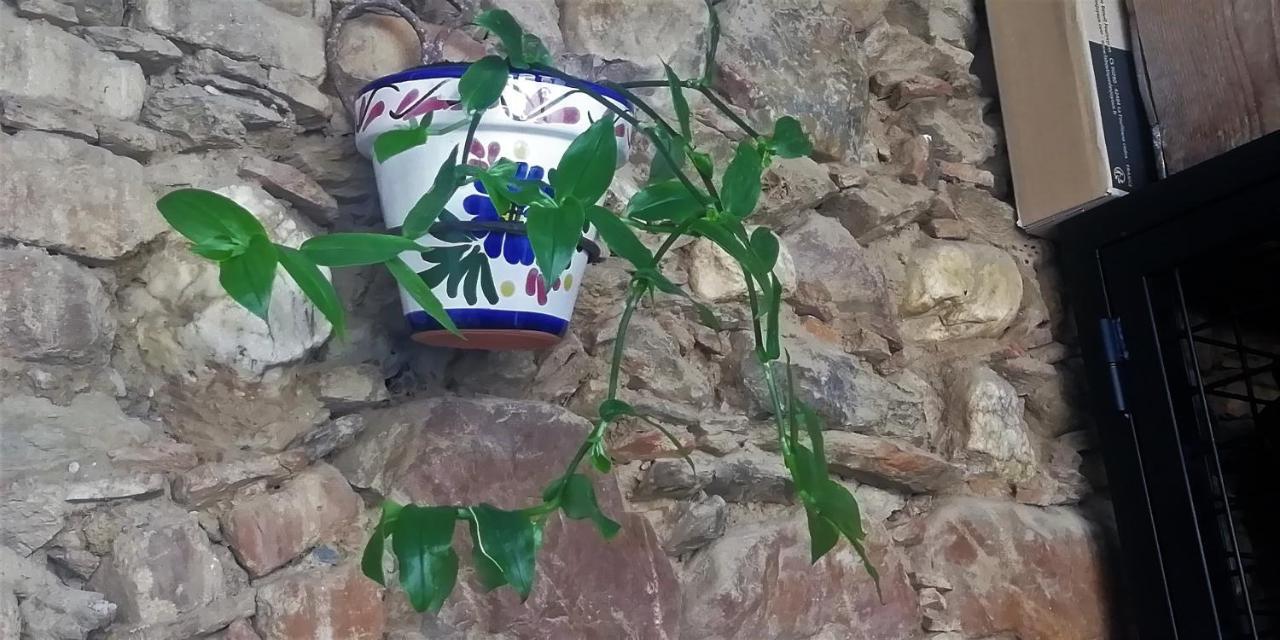 Casa Rural Abuela Maxi Ríolobos Kültér fotó