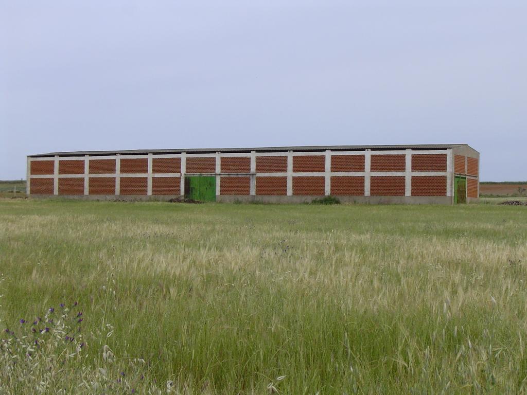 Casa Rural Abuela Maxi Ríolobos Kültér fotó