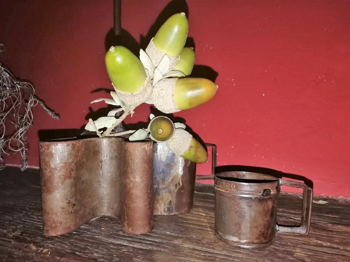 Casa Rural Abuela Maxi Ríolobos Kültér fotó